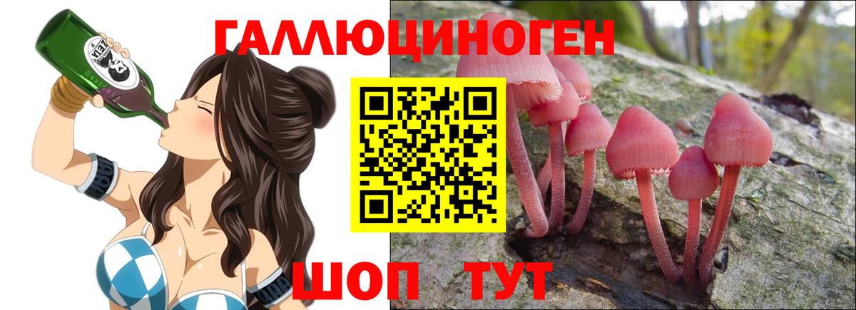 Кудрово  цена   Вход с VPN  Псилоцибиновые грибы мухоморы 