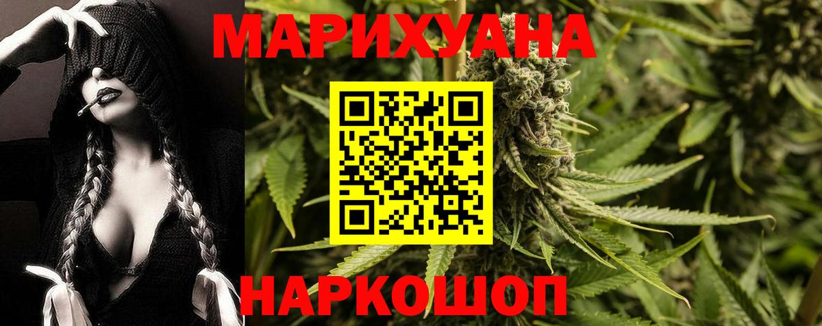 Каннабис OG Kush Кудрово